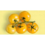 TOMATEN COCKTAIL GELB 250G
